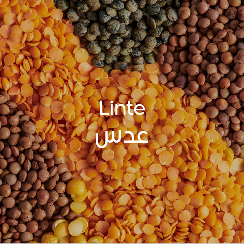 Linte
